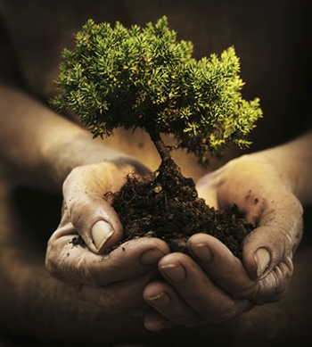 Tending the Garden—NYYM Spiritual Nurture Programs